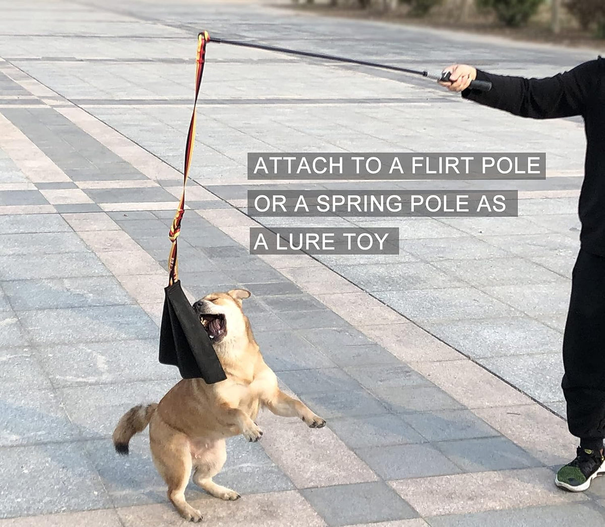 Dewonch Leather Bite Rag for Dog Training - Tug Rag - image 3