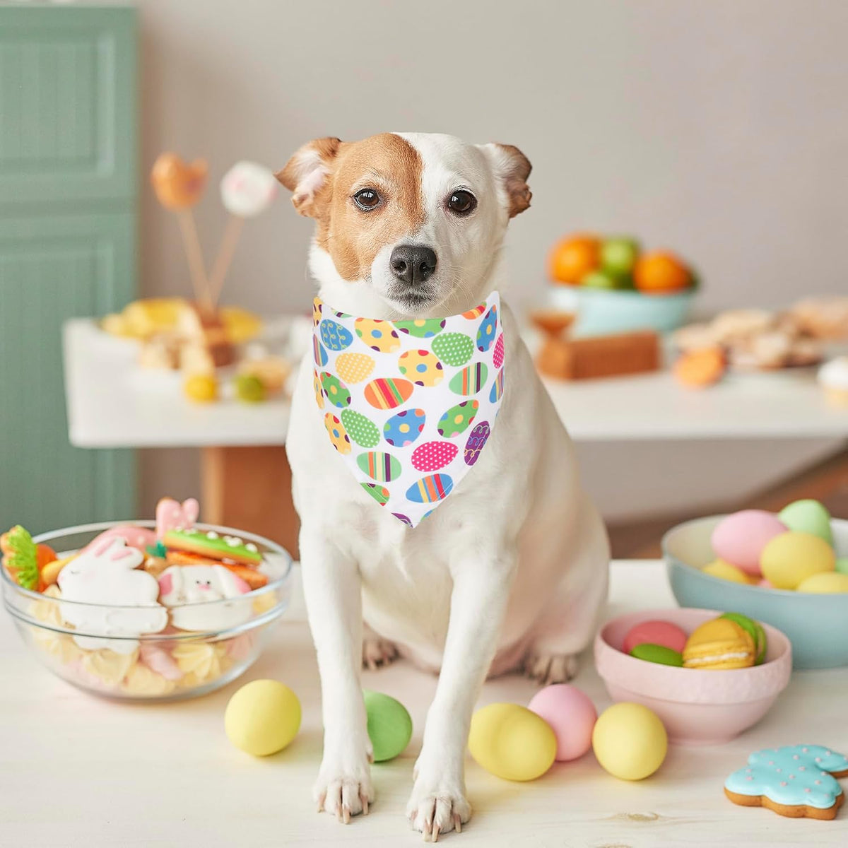 Halloween Dog Bandanas, L - Large / Easter - image 2