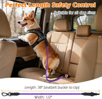 Dog Seat Belt for Car, Durable Rope Dog Car Harness for Vehicle – Essentials for Dogs - Purple, Pink / 2 Packs - image 4