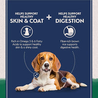 Natural Balance Limited Ingredient Adult Dry Dog Food with Healthy Grains, Lamb & Brown Rice Recipe, 4 Pound (Pack of 1)