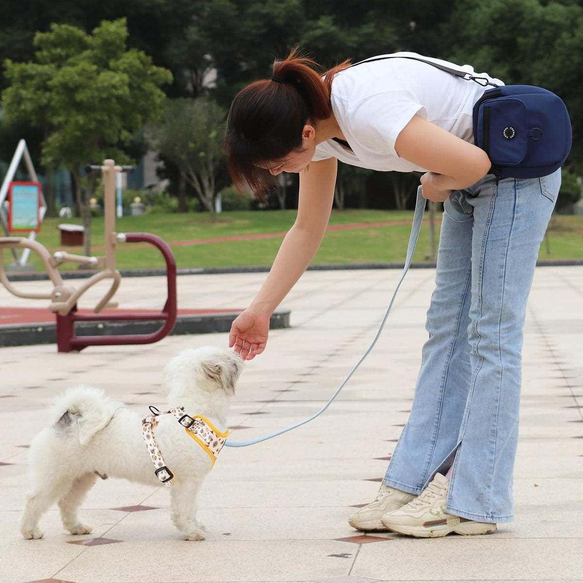 Dog Cat Harness and Leash Set - Honeybee / M (Neck 13.4"-16.5"; Chest 17.7"-23") - image 4