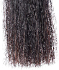 Horse Tail Extensions with Braided Horsehair Loop, Blunt Cut Bottom, 28-30 inches Long and 3/8 lb Weight