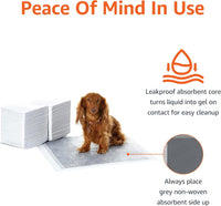 Amazon Basics Carbon Odor Control Dog and Puppy Pee Pads - Regular (22"x22") / 80.0 - image 4