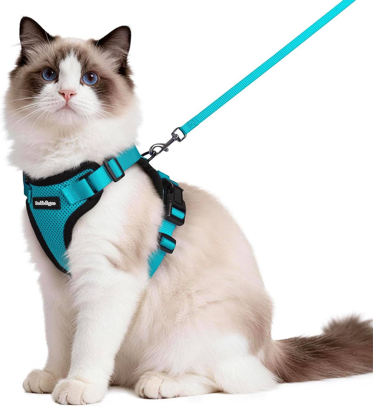 rabbitgoo Cat Harness and Leash Set, Escape Proof Vest - M / Teal
