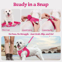 rabbitgoo Dog Harness Small Sized and Leash Set, Step in Soft Light Puppy Vest, Breathable Mesh Pet Harness, Reflective for Safe Easy Walking, Rose Red M