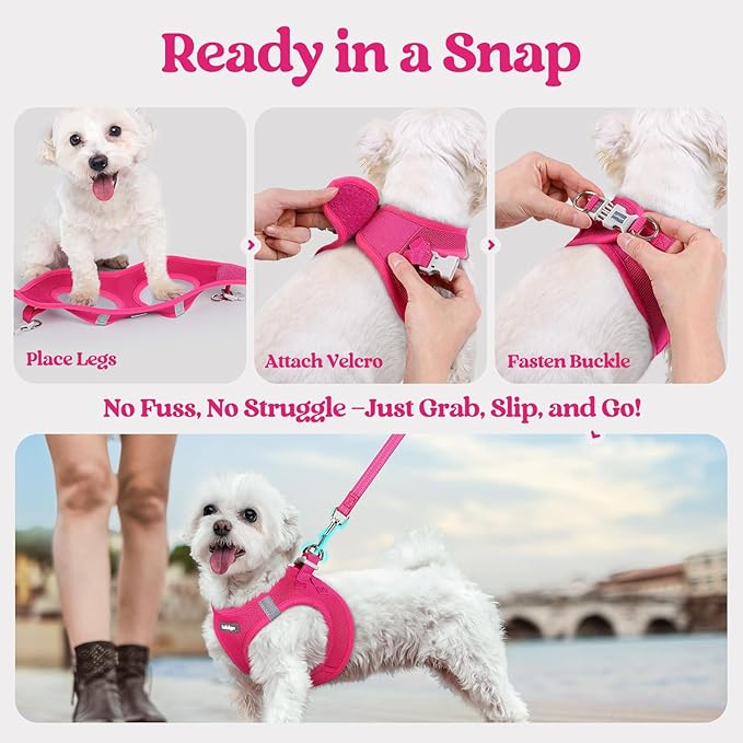 rabbitgoo Dog Harness Small Sized and Leash Set, Step in Soft Light Puppy Vest, Breathable Mesh Pet Harness, Reflective for Safe Easy Walking, Rose Red M