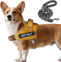 AUROTH Dog Harness for Large Dogs No Pull Tactical Harness and Leash - Turmeric / S(Neck:13.4"-19.7",Chest:20.5"-26")