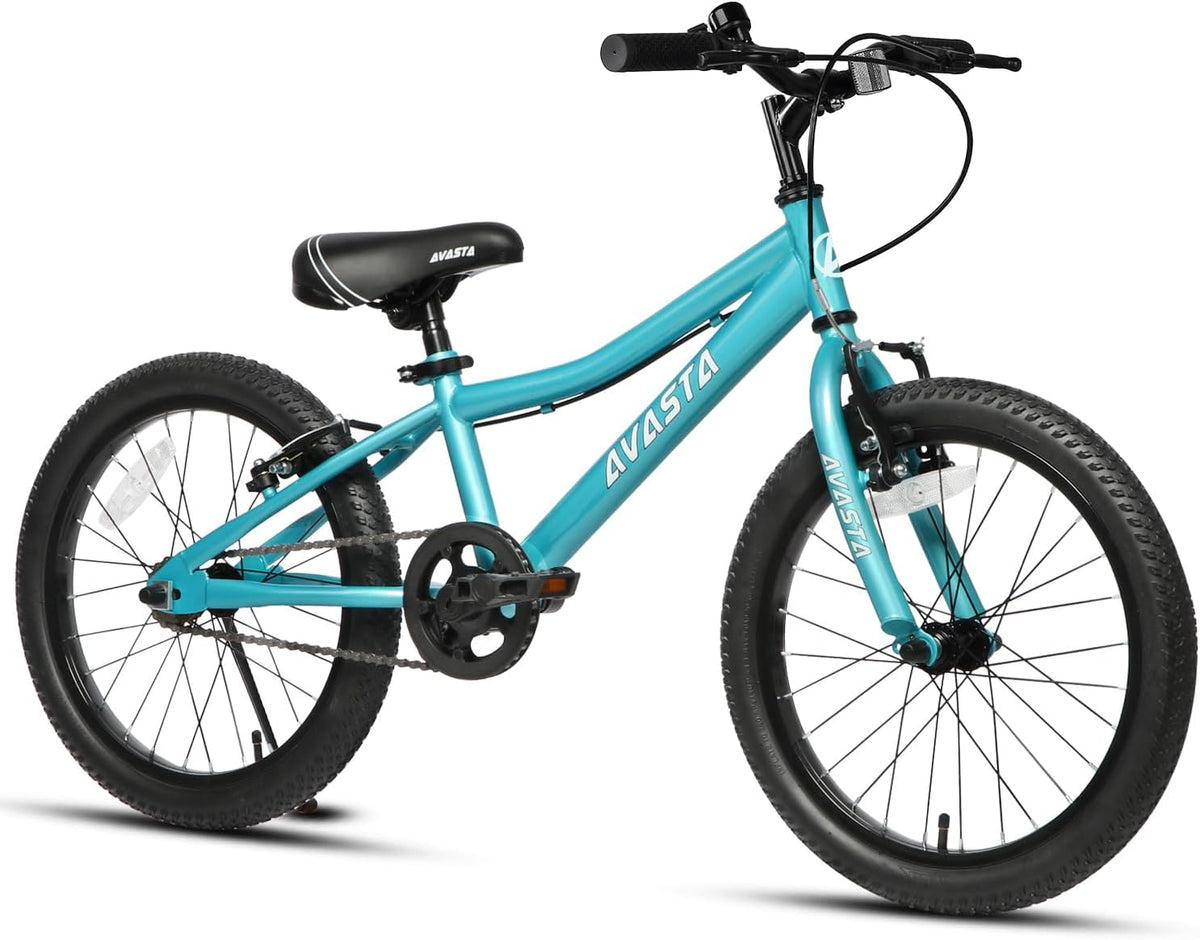 AVASTA Bilbo 18 20 24 Inch Kids Bike for Boys Girls Youth 5-14 Years - arctic / 20 Inch with Kickstand
