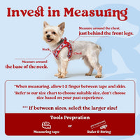 rabbitgoo Step-in Small Dog Harness - Apple Pups / L(chest:18.2"-20.5") - image 2