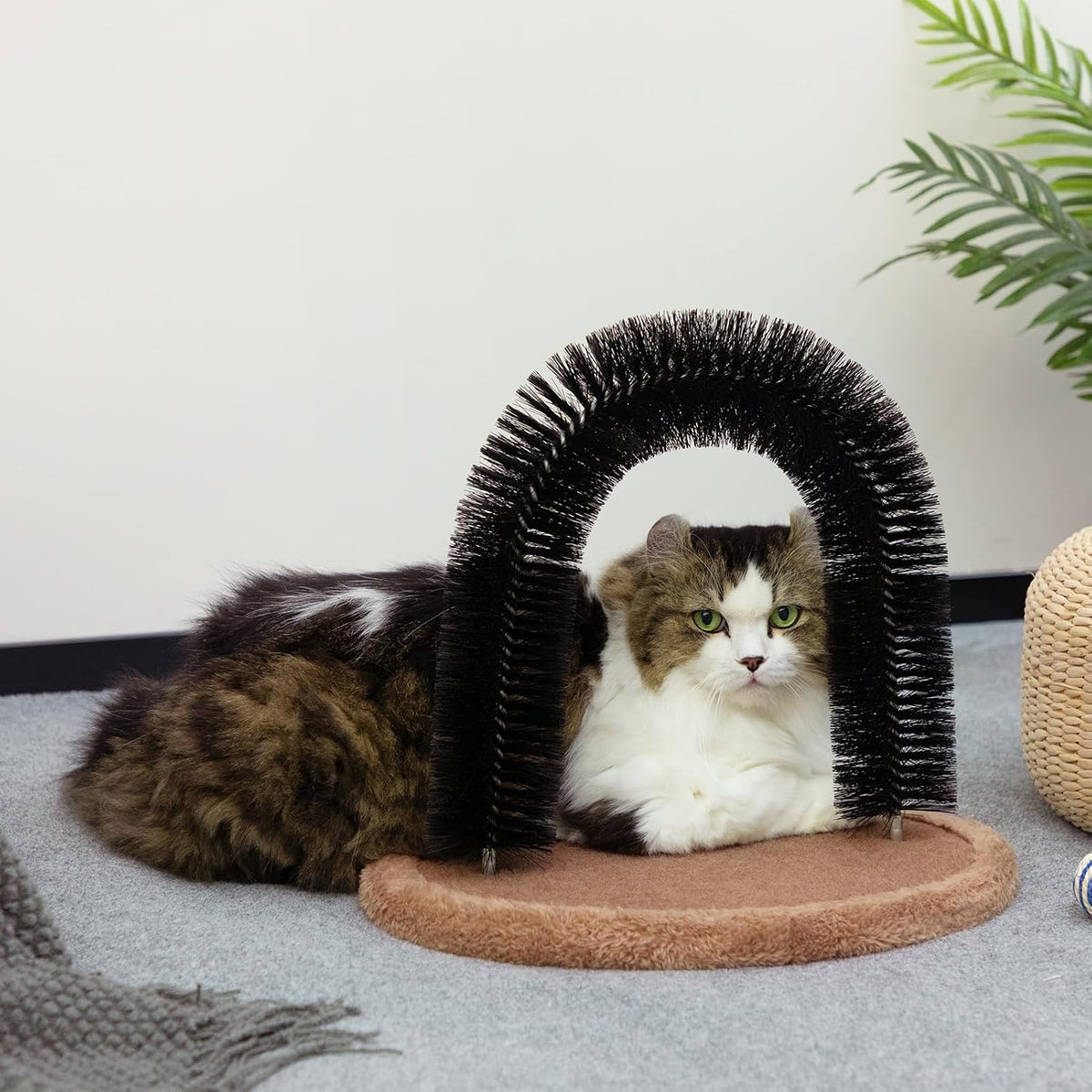 Hollypet cat self groomer arch with scratching pad and catnip hole - view 2