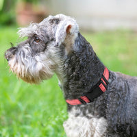 Joytale Reflective Dog Collar, Adjustable Neoprene Padded - Small (Pack of 1) / Neon Pink - image 2