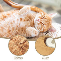 Cat Steam Brush - 5 In1 Grooming Kit for Cats and Dogs Silicone Massage Tool - Stainless Steel Nail Scissors - Hair Detangling Comb - Water Spray Rechargeable Shedding Wash-Free Essence (White)