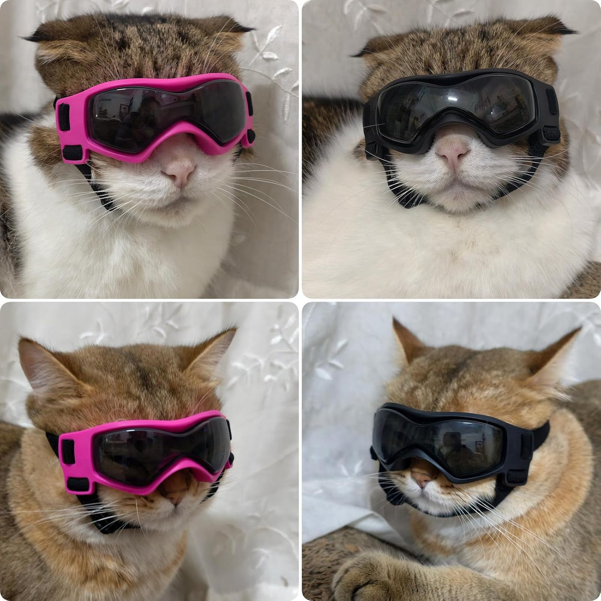 Dog Goggles Small Breed, Dog Sunglasses UV Protection Puppy Eyewear for Small Pet Outdoor Riding - X-Small / Pink - image 2