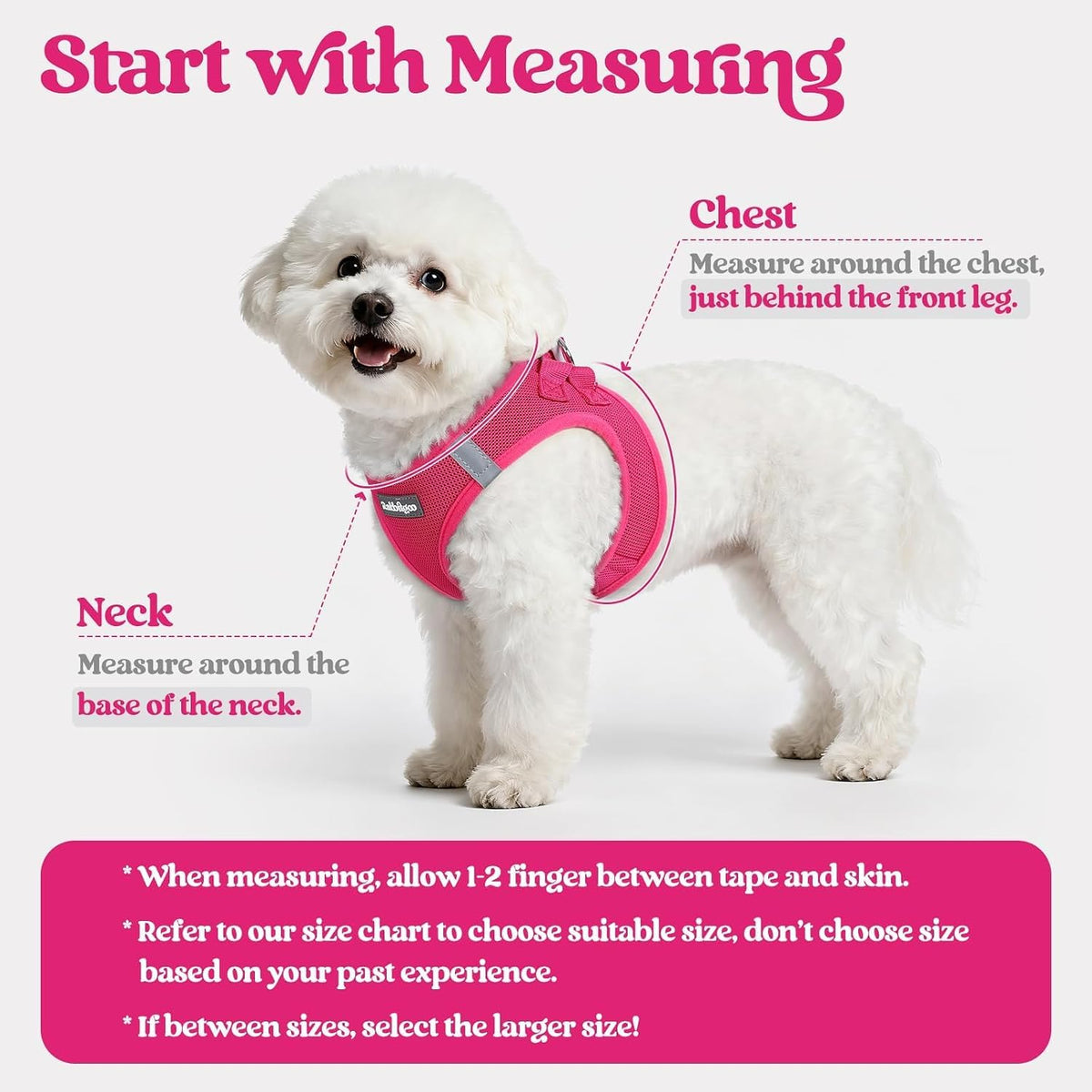 rabbitgoo Dog Harness Small Sized and Leash Set - Rose Red / S (chest: 15.1 - 16.5") - image 2