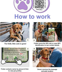 Personalized Dog Tag, Laser Engraving QR Code - Medium to Large Breeds - 1.25" / Purple - image 4