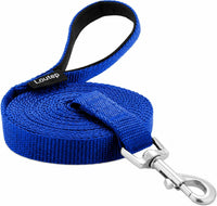 Long Line Dog Training Leash with Padded Handle - 15ft / Blue