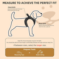 PUPTECK Dog Harness, Collar and Leash Set No Pull for Small Medium Sized – Essentials for Dogs - Beige / S (CHEST 14.5"-16") / Patterned Harness Collar and Leash Set - image 2