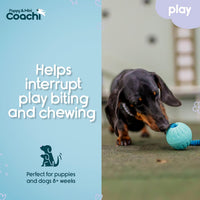Coachi Puppy & Mini Tuggi Tug, Dog Toy for Tug of War & Play - Tuggi Ball - image 3