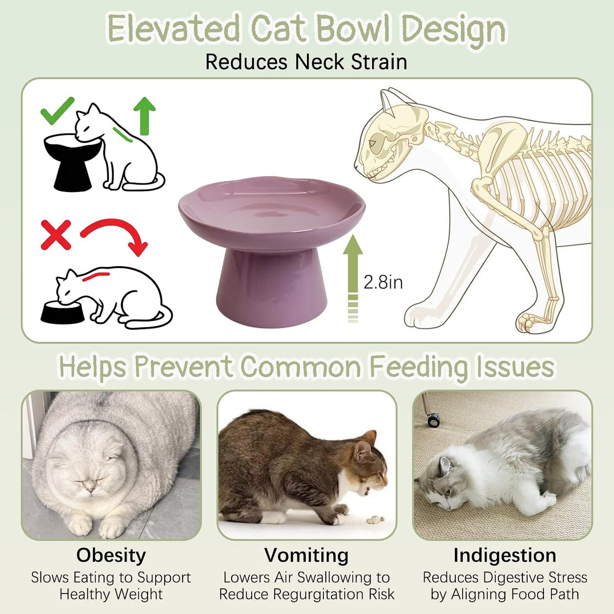 VCEPJH Elevated Cat Bowls 6.1in Wide Shallow Ceramic Raised Food Dish – Essentials for Cats - Purple(Pack of 2) - image 3