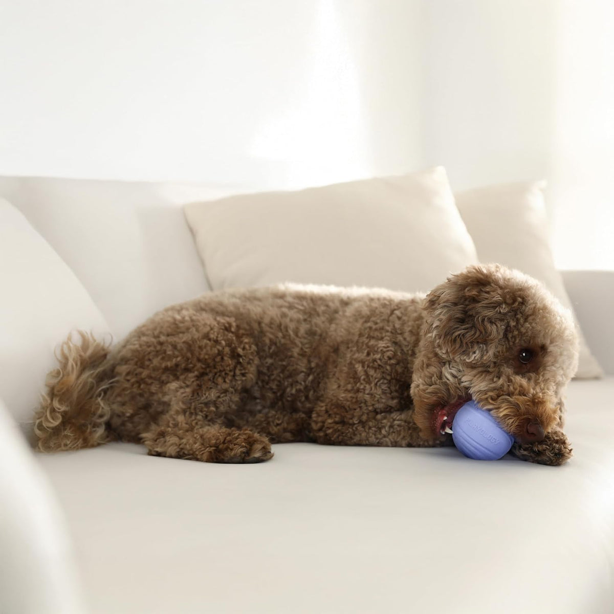 Playology Durable Large Dual Layer Dog Ball, Peanut Butter Scent - Medium / Blueberry - image 3