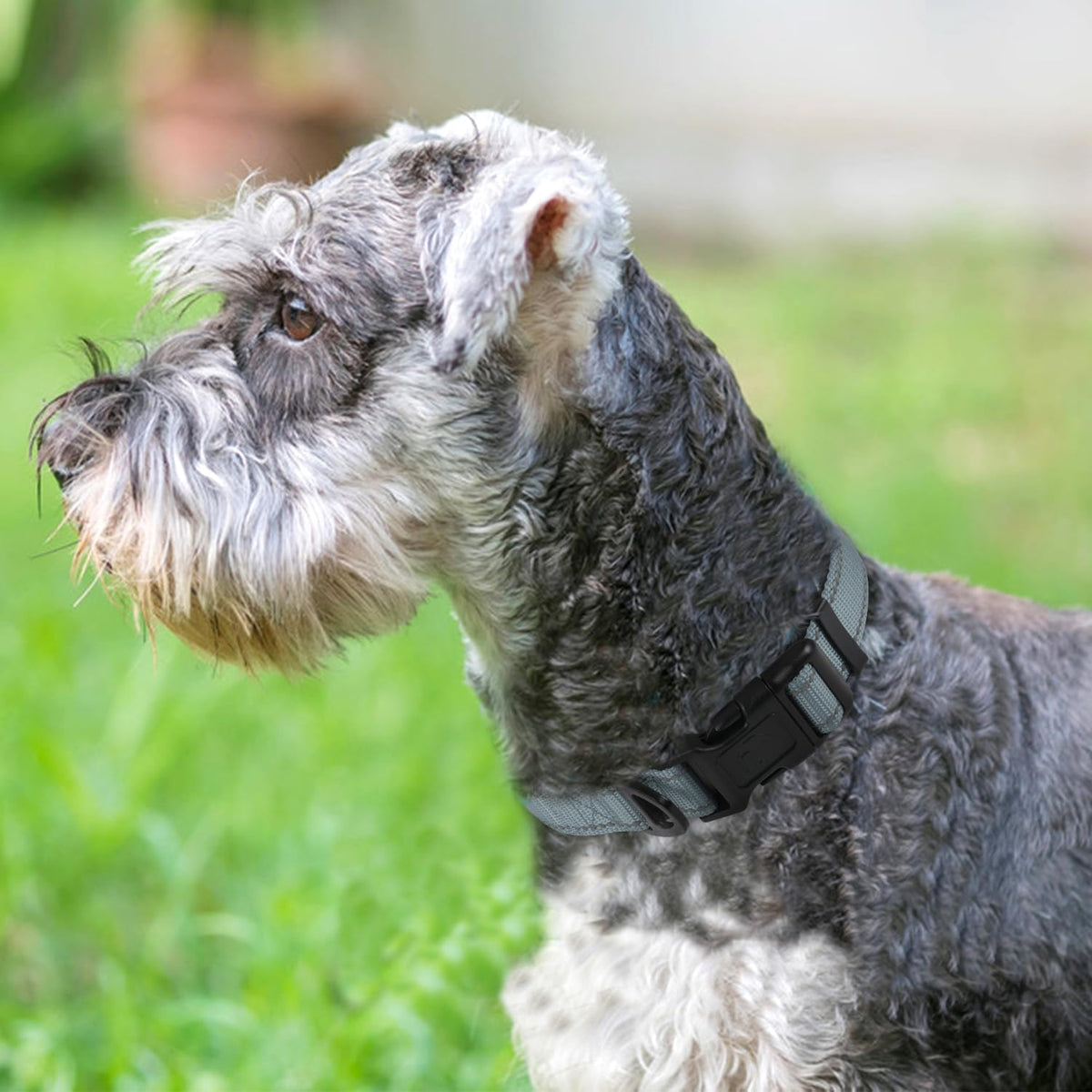 Joytale Reflective Dog Collar, Adjustable Neoprene Padded - Small (Pack of 1) / Gray - image 2