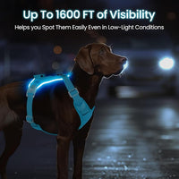 Light Up Dog Harness,Reflective Pet Harness Rechargeable,Led Dog Vest Harness for Night Walking,Adjustable Dog Safety Vest for Small Medium Large Dogs-No Pull,Blue,XL