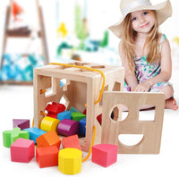 QZMTOY Shape Sorter Toys with 19 Shape Blocks – Fun for Kids & Family - image 3