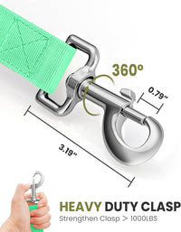 OutdoorMaster Bungee Dog Leash - Mint Green / Max: 6'7" - image 4