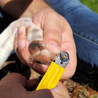Guillotine Style Dog Nail Clippers for Large Dogs and Cats - Large / Nail Care Kit - image 2