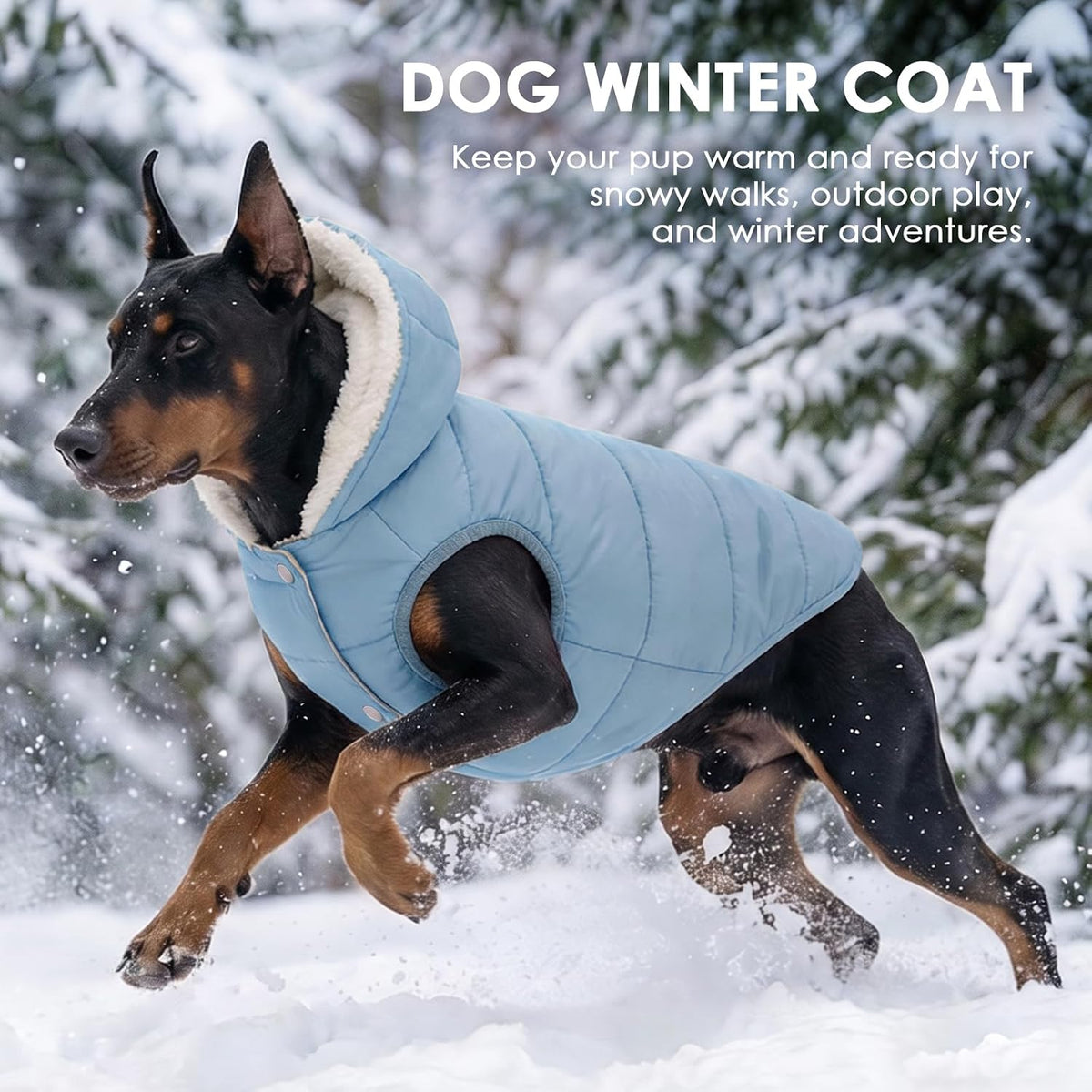 Dog Winter Coat,Warm Fleece Lined Dog Jacket with Leash Hole & Hood – Essentials for Dogs - light Blue / X-Large - image 4