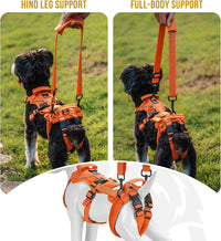 OneTigris Dog Lift Harness for Small Dogs XS - Small / Orange - image 2