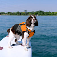 Kuoser Dog Life Jacket with Rescue Handle - Small (Chest Girth:16.9-21.3'') / Orange - image 3