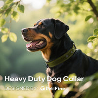 PetiFine Dog Collars for Medium Dogs - Green / Small (11"-14.5") - image 2