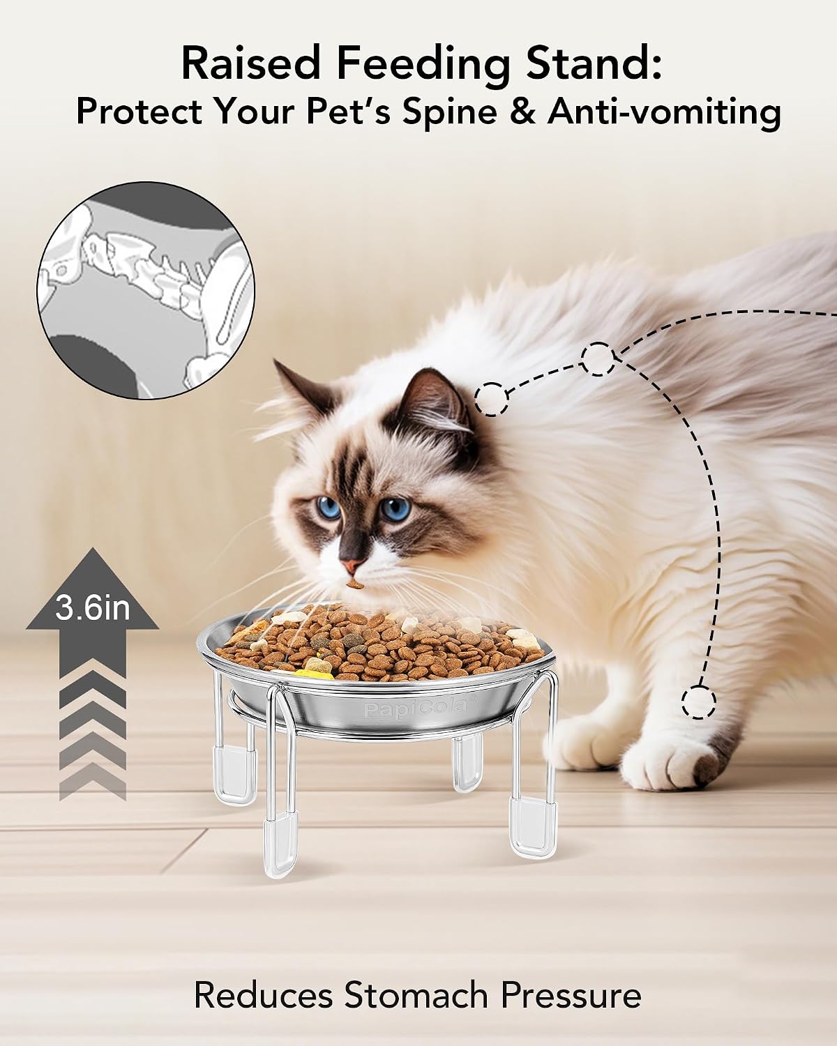 Elevated cat Bowl 2PC, 6.3" Wide Raised Cat Bowl – Essentials for Cats - 3PC - image 2