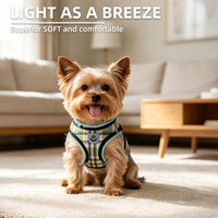 PUPTECK Dog Harness, Collar and Leash Set No Pull for Small Medium Sized – Essentials for Dogs - Yellow Green / XL (CHEST 20"-22") / Patterned Harness Collar and Leash Set - image 3