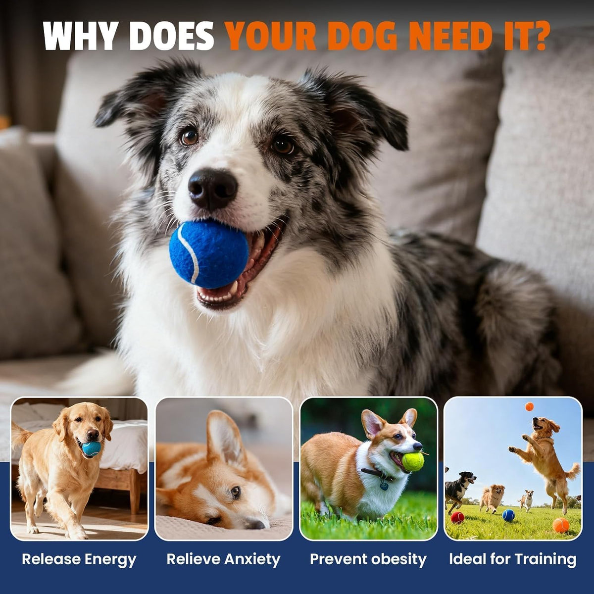 Colorful Tennis Balls for Dogs, Non Squeaky - Small-2in / 80P - image 3