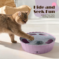 Pawaboo Interactive Cat Toy with Running Mouse - P-Purple - image 2