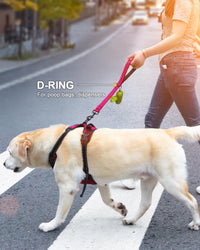 Joytale Short Dog Leash for Close Control & Training, 18" - 1.5 ft / Hotpink - image 3