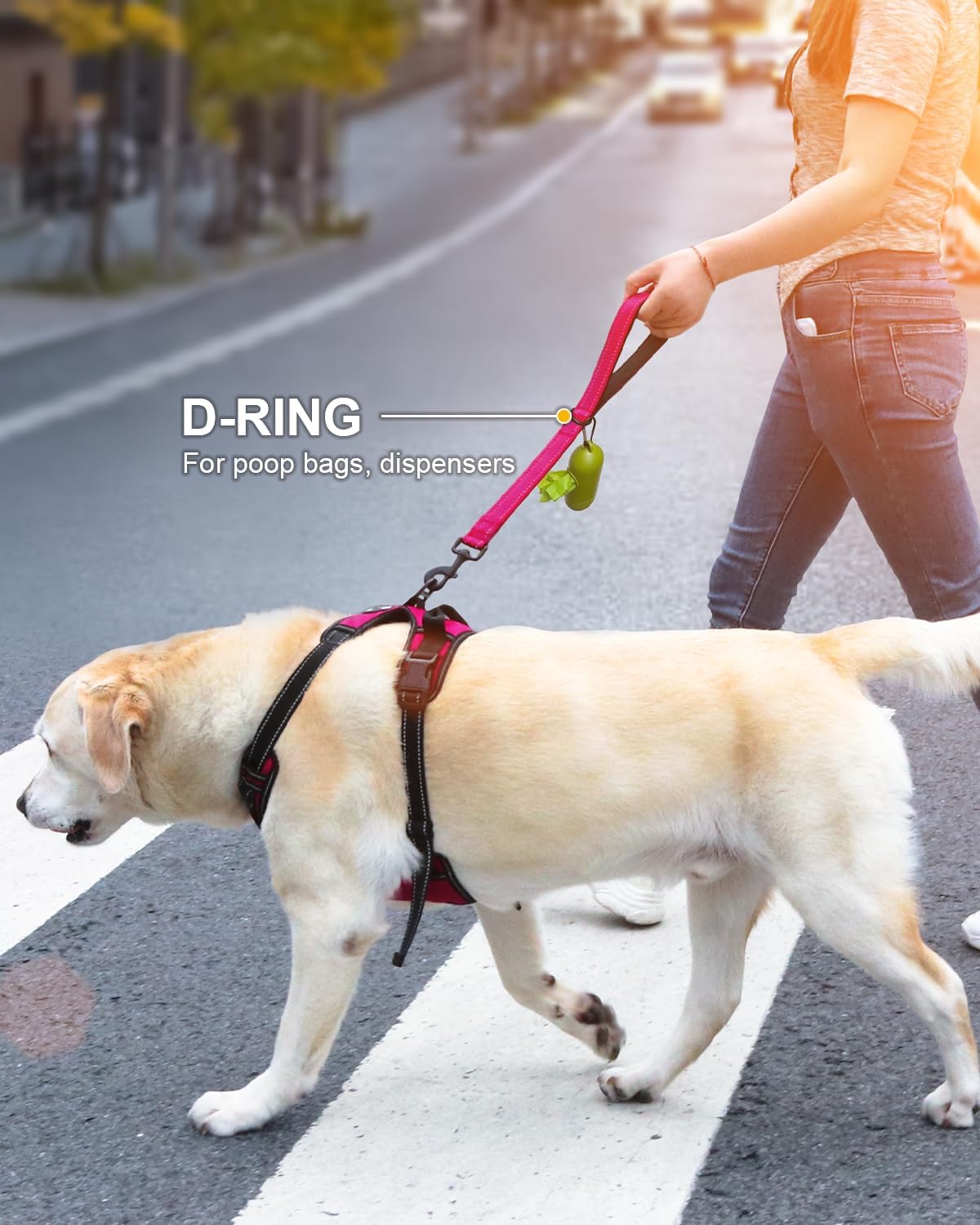Joytale Short Dog Leash for Close Control & Training, 18" - 1.5 ft / Hotpink - image 3
