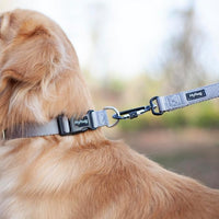 Hyhug Pets Solid Color Classic Regular Tough Basic Collar for Medium Dogs, Unique Design Adjustment Triglide Slide (Buckle) Can Attached Name Tag Accessories. (Medium, Sleet Gray)