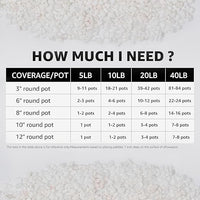 1/5 Inch White Succulent Cactus Gravel, 5 lbs – Ideal for Succulent Plant Pots, Vase Fillers, Glass Containers, Aquariums, Patios, and Outdoor Gardening River Stones (White, 5 Pounds)