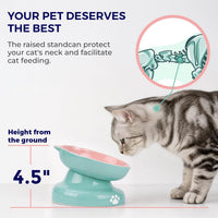 Y YHY Ceramic Cat Slow Feeder - PinkGreen / 6 inches - image 4