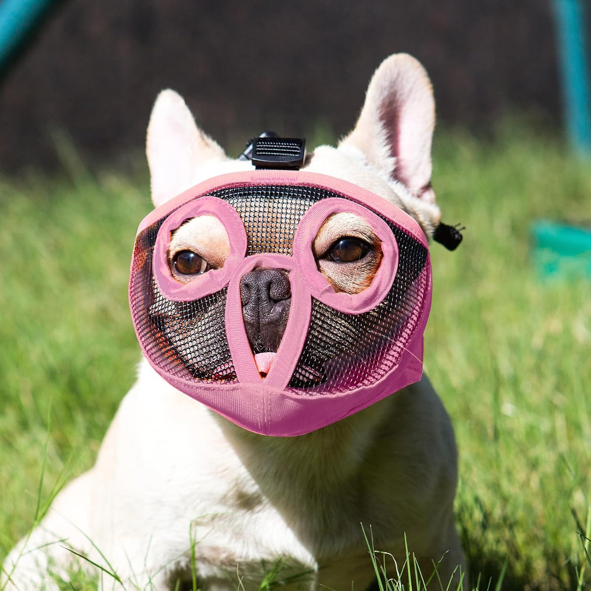Short Snout Dog Muzzle - Adjustable Breathable Mesh Bulldog Muzzle for Biting Chewing Barking - Pink / Medium/11"-17" - image 3