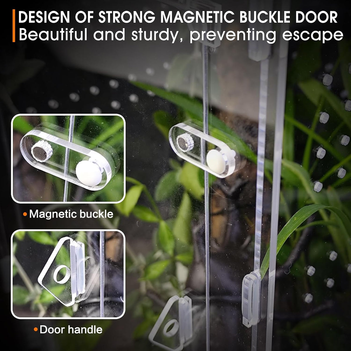 Acrylic Jumping Spider Enclosure, Insect Terrarium for Spiders - Large - image 4