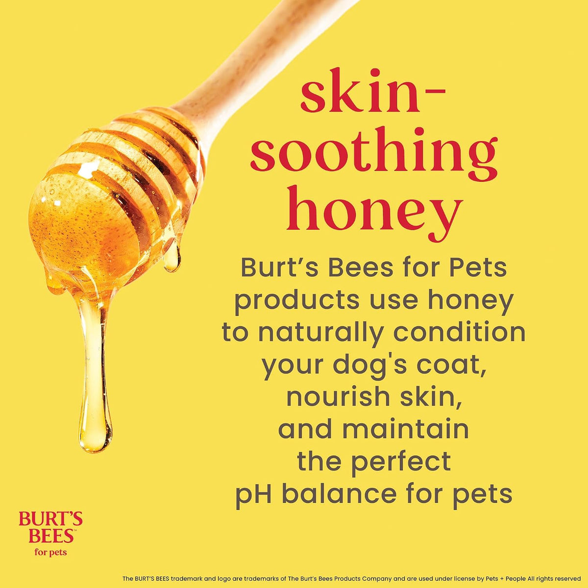 Burts Bees Tearless Puppy Shampoo & Conditioner with Buttermilk - Unscented / 16 Fl Oz (Pack of 6) - image 3