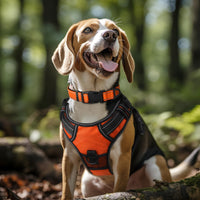 Joytale Reflective Dog Collar, Adjustable Neoprene Padded - X-Large (Pack of 1) / Orange - image 2