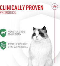 Royal Canin Probiotics for Cats Digestive and Immune Health Powder Supplement for Cats of All Ages, 7 Count