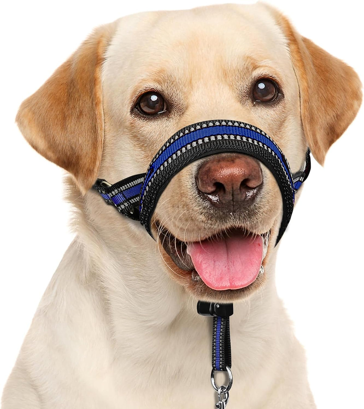 Soft Dog Head Collar, Patented Padded No Pull Training Head Halter – Essentials for Dogs - Blue / XL (Snout 12"-17.5")