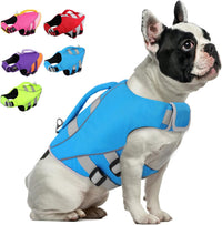 Queenmore XS Dog Life Jacket - Medium / Lake Blue