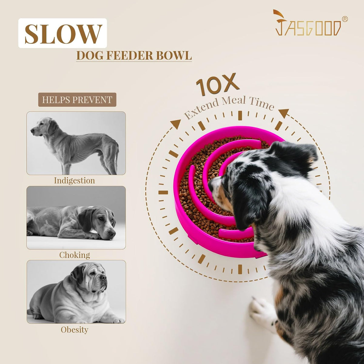 JASGOOD Slow Feeder Dogs Bowl for Large Medium Dogs - Large / Hot pink - image 3